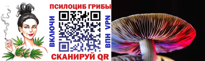 Галлюциногенные грибы MAGIC MUSHROOMS Сольвычегодск